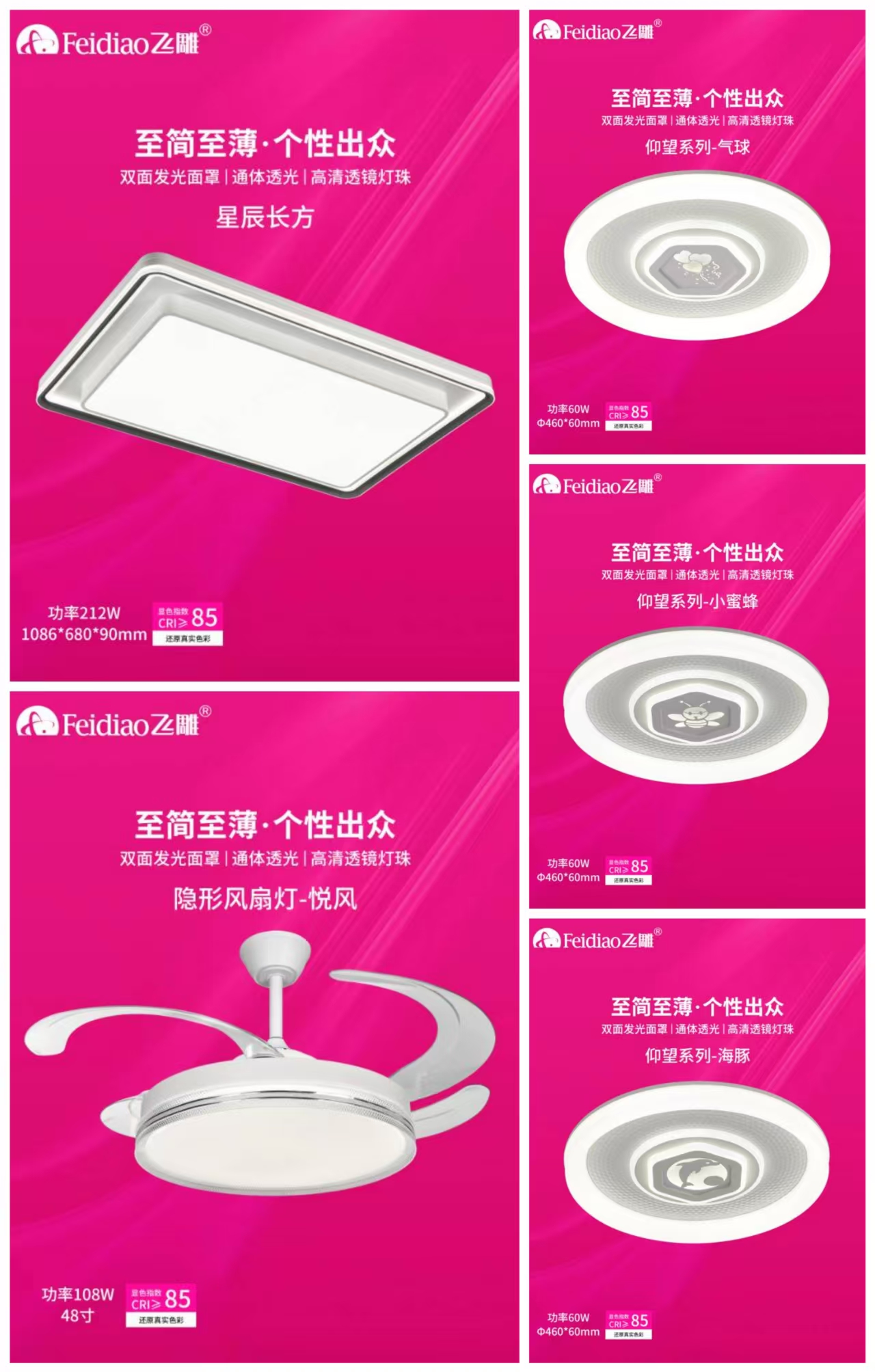 星辰仰望悦风